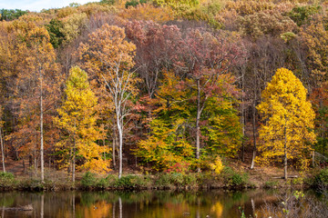 Obraz premium autumn in the park