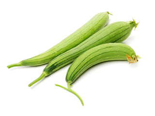 fresh loofah on the white background 