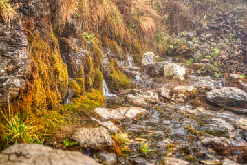 Obraz premium the rock overgrown with moss and a running spring of water