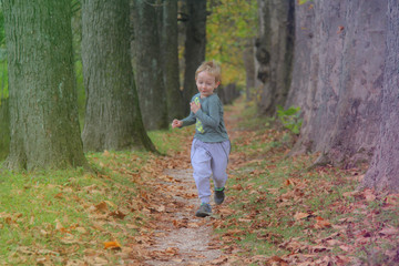 Cute kid, boy having fun at autumn street, jumping and running around on carpet of fallen leaves. Boy running in the yellow leaves.