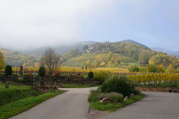 Idyllische Landschaft bei St. Martin an der Südlichen Weinstrasse