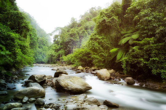 Beautiful landscape view of the a river in the rainforest during a ecotourism jungle hike in Gunung Leuser National Park, Bukit Lawang, Sumatra, Indonesia