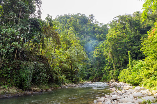 Beautiful landscape view of the a river in the rainforest during a ecotourism jungle hike in Gunung Leuser National Park, Bukit Lawang, Sumatra, Indonesia