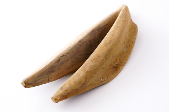 カツオブシ Images Browse 3 Stock Photos Vectors And Video Adobe Stock