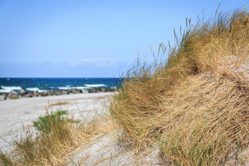 Sanddüne auf Hiddensee an der Ostsee