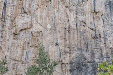 Peope rock climbing
