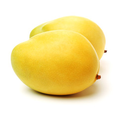 Mango on white background