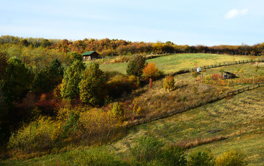 landscape in autumn