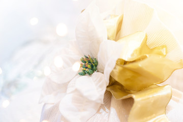 Christmas white flower ribbon with bokeh background