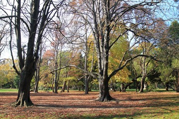 Autumn in the Sea garden of Varna (Bulgaria)