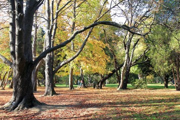 Autumn in the Sea garden of Varna (Bulgaria)