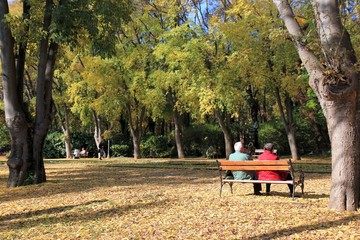 Autumn in the Sea garden of Varna (Bulgaria)