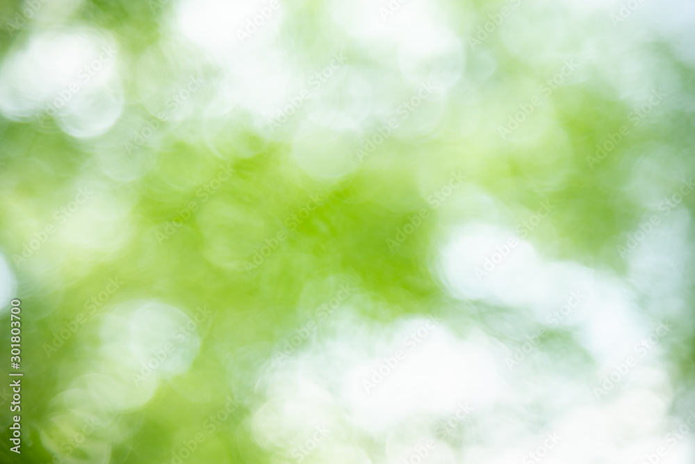 Wall mural out of focus blurred of green leaf nature under sunlight with bokeh and copy space using as backgrou