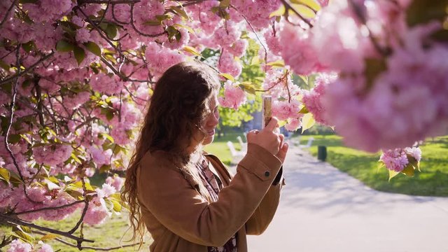 Young girl taking selfie under blooming cherry tree in city park. Side view happy woman tourist taking photo on smartphone while standing among branches covered flowers against bright sun light