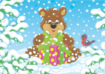 Little brown bear with a Christmas gift under snow-covered branches of green firs in a winter forest on a beautiful snowy day, vector cartoon illustration