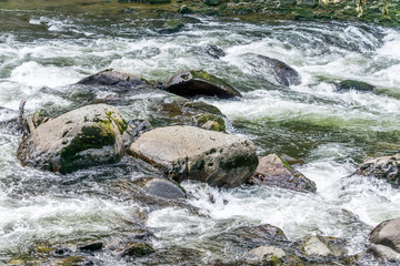 Snoqualmie River Whitewater Rapids 7