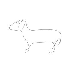 Dog dachshund continuous line drawing vector illustration	