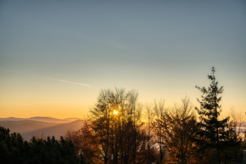 Fototapeta na wymiar sunrise through trees in the mountains