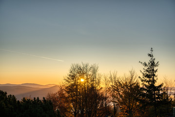 Naklejka premium sunrise through trees in the mountains