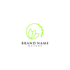 luxury leaf / leaves with circle logo template
