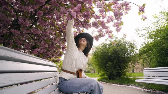 Young girl relaxing on bench in spring nature park at sunny day. Wide-angle shot happy smiling woman in hat resting under blooming cherry tree while enjoying beautiful city garden in shining