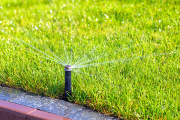 Underground irrigation sprinkler system, automatic watering - obrazy, fototapety, plakaty