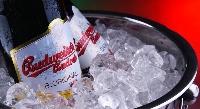 Bottles of Budweiser Budvar beer