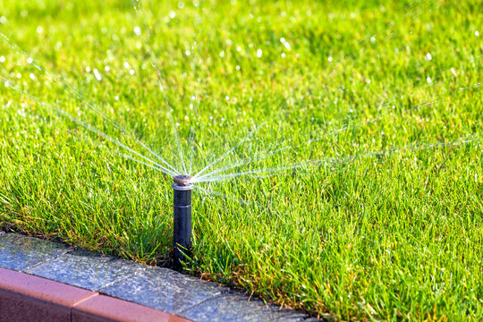 Underground irrigation sprinkler system, automatic watering