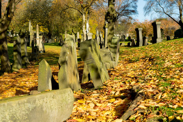 Old Tombstones on the sunny autumn day of the old Victorian cemetery Necropolis in United Kingdom. Religion and death theme. Glasgow, Scotland, United Kingdom