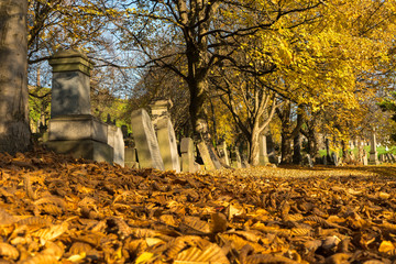The sunny autumn day of the old Victorian cemetery Necropolis. Religion and death theme. 