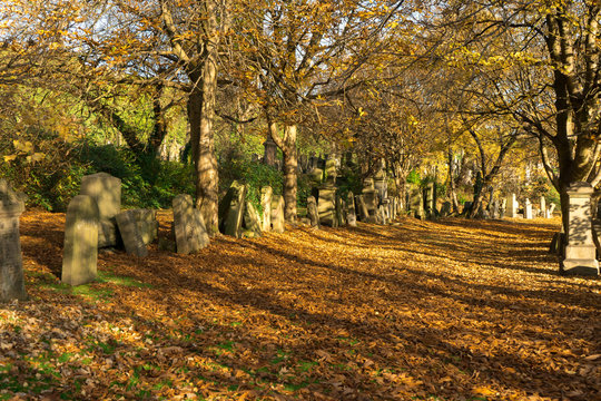 The sunny autumn day of the old Victorian cemetery Necropolis. Religion and death theme. 