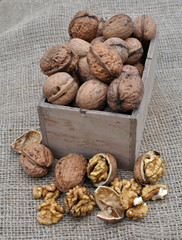 Walnuts in a wooden box and on a sacking