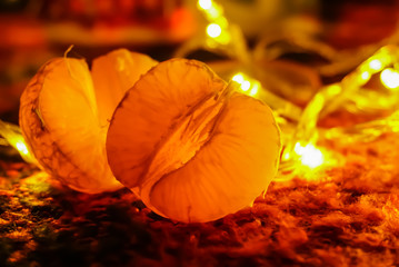 Mandarin slices in the light of garland (warm electric) lights