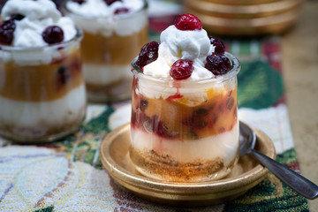Christmas pumpkin and cramberry mousse served in individual glasses