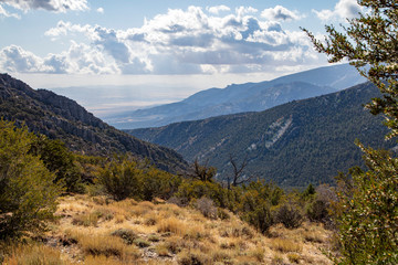 Fototapeta na wymiar Mountainous view from the Great Basin National Park road to Wheeler Peak Glacier