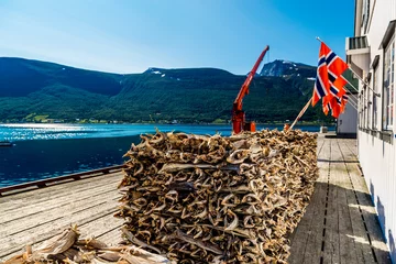 Fototapeten Stockfish, dried by cold air and wind, at the fishing harbor Norway © white78