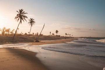 Beautiful view of the palm trees on the beach by the sea captured in Cumbuco, Brazil