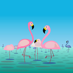 Flamingos' lake, flat vector illustration.