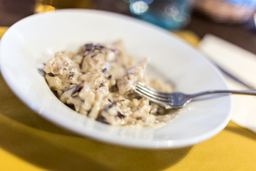 alpine gnocchi with radicchio and gorgonzola, gnocchi di malga, gnochi sbatùi, typical dish in the refuge of Lessinia natural park