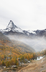 Beautiful view across foggy yellow larch forest towards matterhorn in autumn on 5 lake hike.