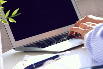 Female hands working on laptop on light background closeup. View from behind the green flower.