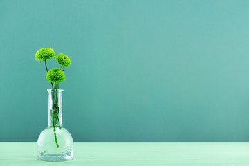 Background with tree green chrysanthemum in the glass bottle on the green table