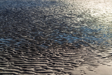 Norwegian fjord coast at low tide on a sunny day.