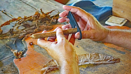 Manipulación para hacer cigarros puros artesanales en Cuba