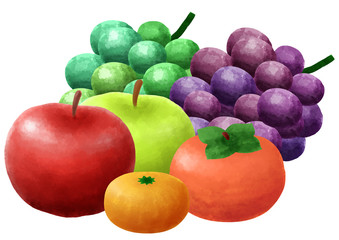 Naklejka na ściany i meble 果物　フルーツ　フルーツ盛り合わせ　柿　みかん　ぶどう　りんご　