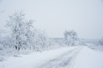 Dirt road in the forest in winter
