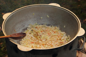 Traditional preparation of borscht, fresh sliced onion in Kazan