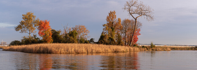 Island with Golden Grasses on a Sunny Morning with Bridge in Background