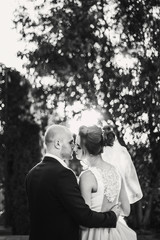 Groom gently kissing gorgeous bride in sunset light. Beautiful stylish wedding couple embracing in summer park. Sensual romantic moment. Newlyweds.