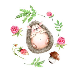watercolor illustration of a hedgehog in a frame of berries, mushrooms and plants © Lana